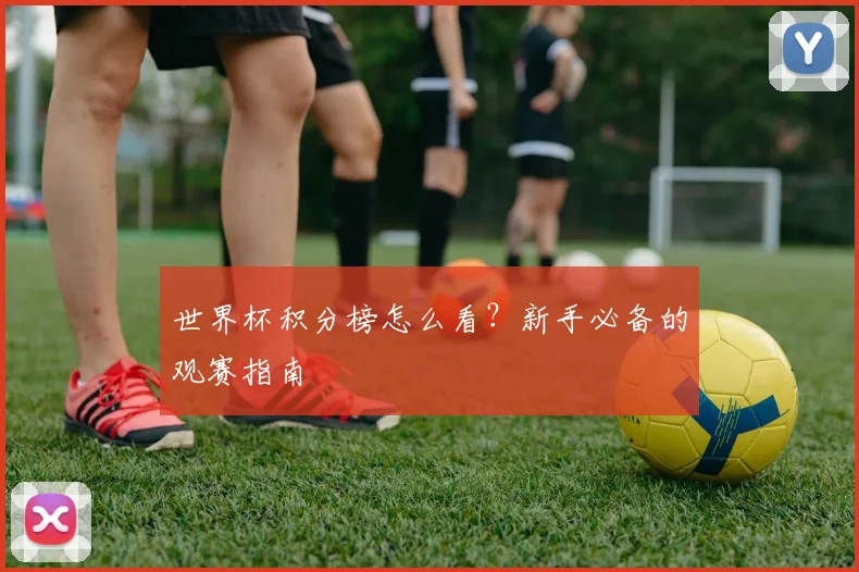 世界杯积分榜怎么看？新手必备的观赛指南