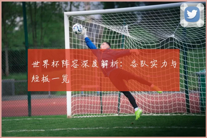 世界杯阵容深度解析：各队实力与短板一览