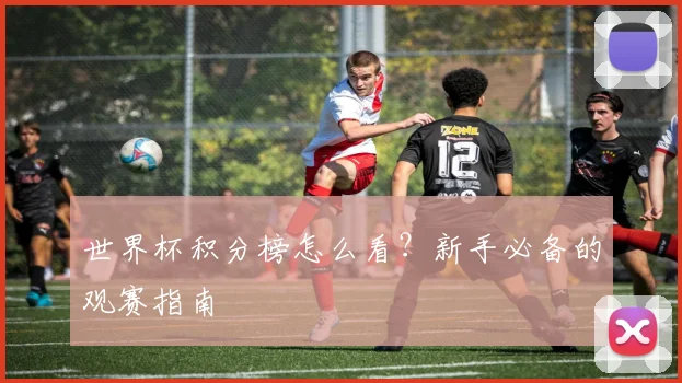 世界杯积分榜怎么看?新手必备的观赛指南