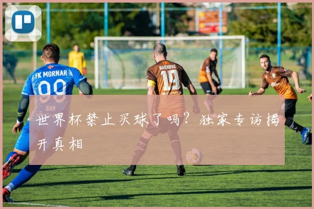 世界杯禁止买球了吗？独家专访揭开真相