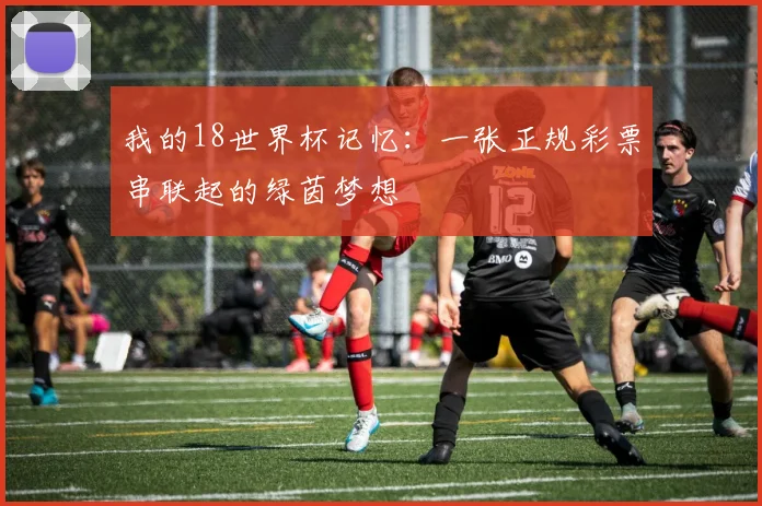 我的18世界杯记忆：一张正规彩票串联起的绿茵梦想