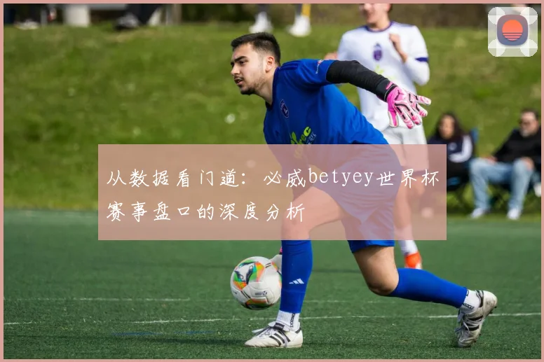 从数据看门道：必威betyey世界杯赛事盘口的深度分析
