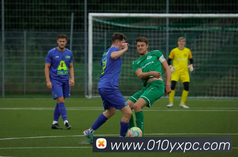 多媒体互动体验